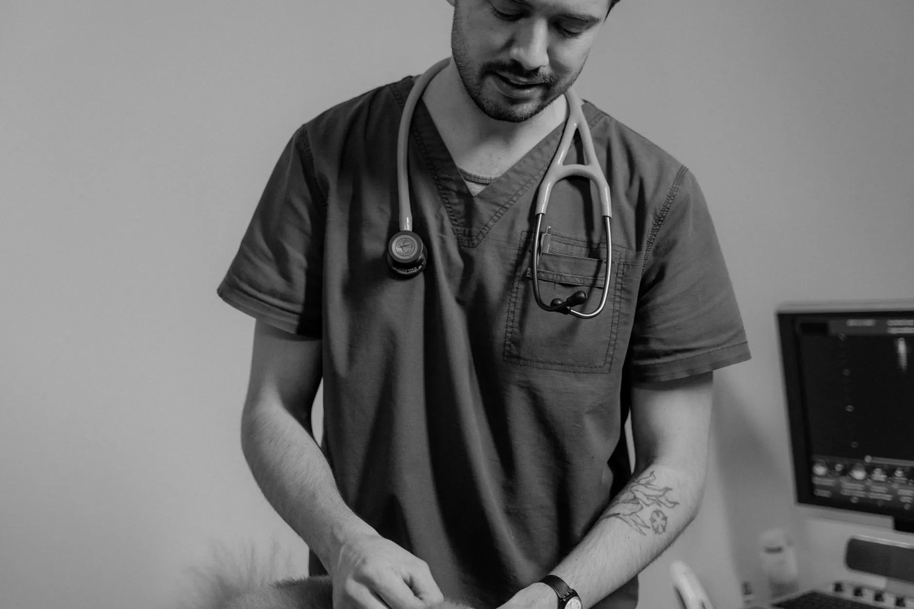 Médico-veterinário de jaleco com estetoscópio no pescoço