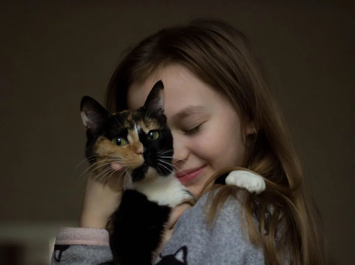 Verme de Gato Pega em Humanos? Sintomas e Como Prevenir