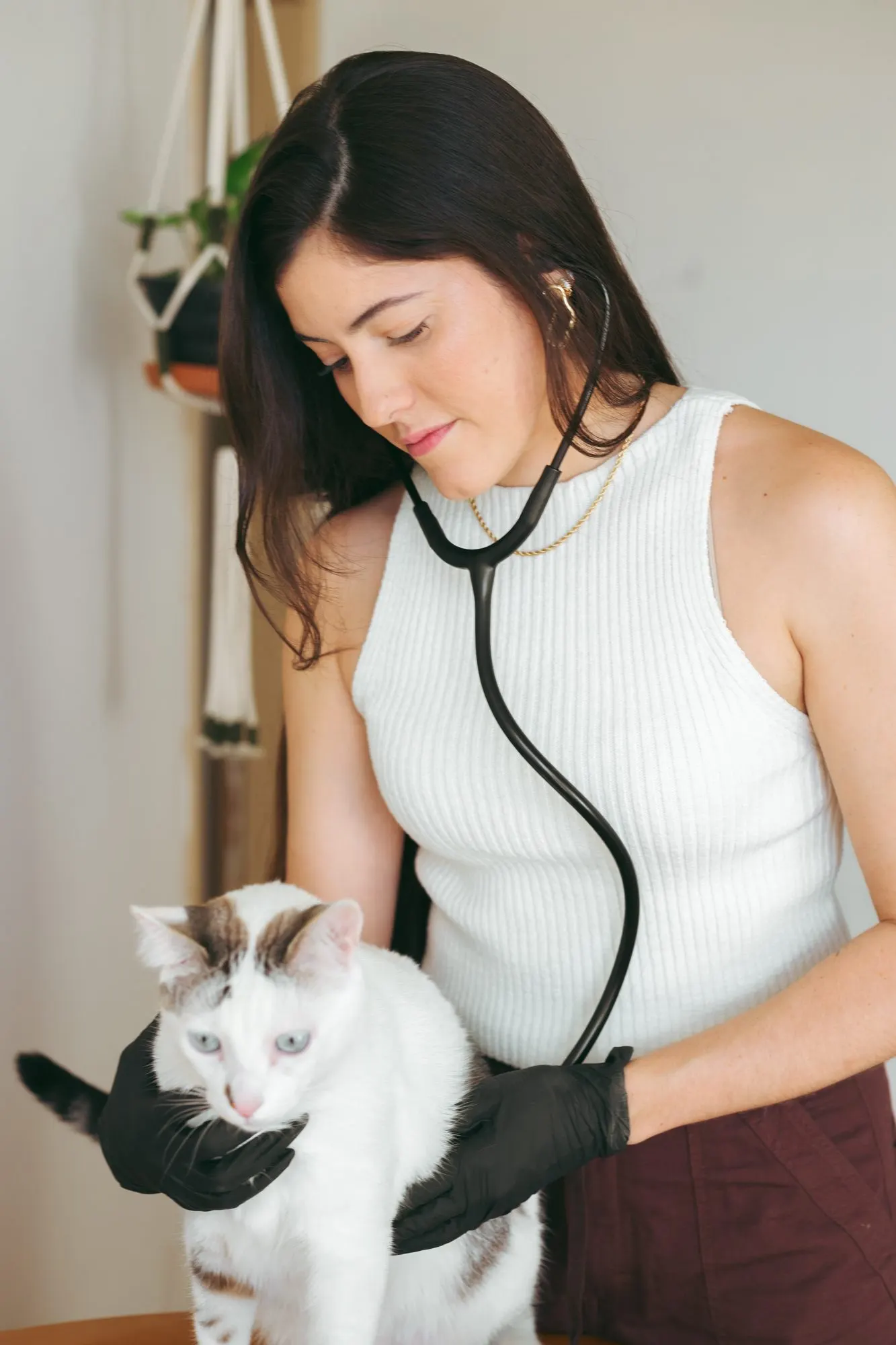 Dra. Clara Gomez Scarpelli auscultando um gato branco com estetoscópio durante atendimento veterinário domiciliar