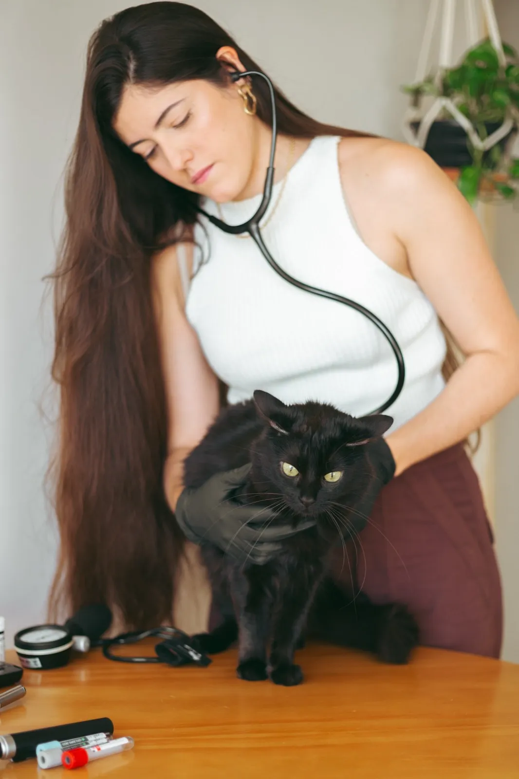 Dra. Clara Gomez Scarpelli auscultando um gato preto com estetoscópio, com material de coleta de exames sobre a mesa