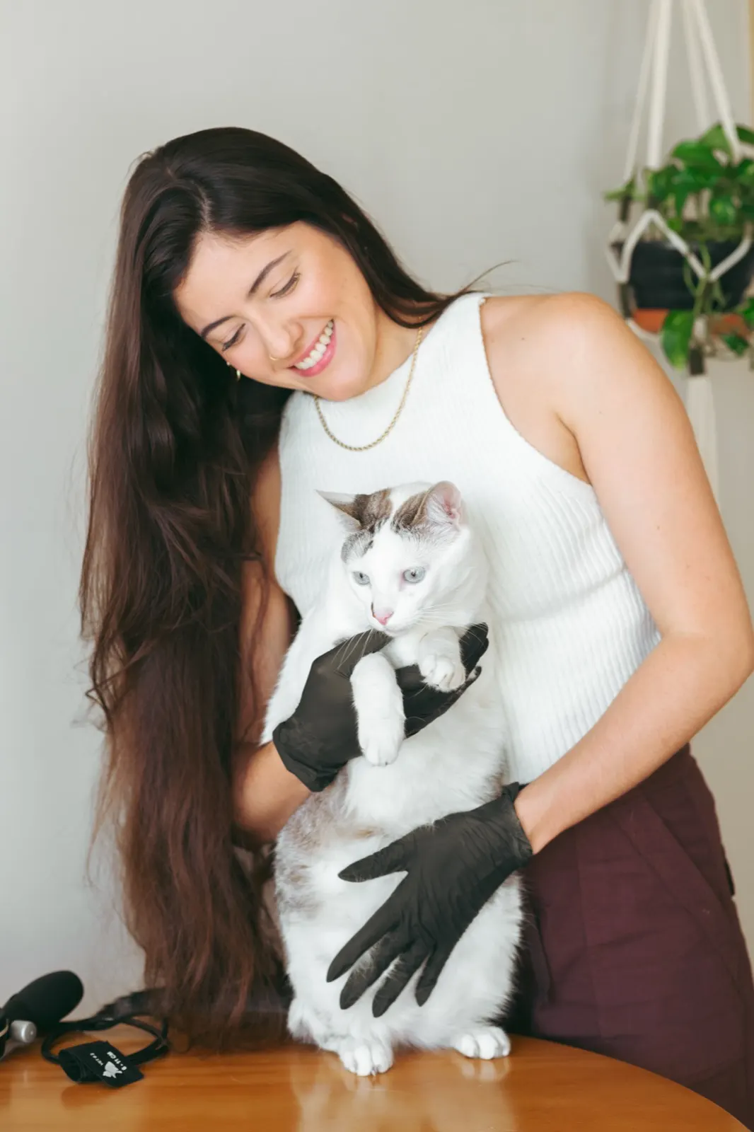 Dra. Clara Gomez Scarpelli sorrindo enquanto segura um gato branco de luvas, em consulta veterinária a domicílio