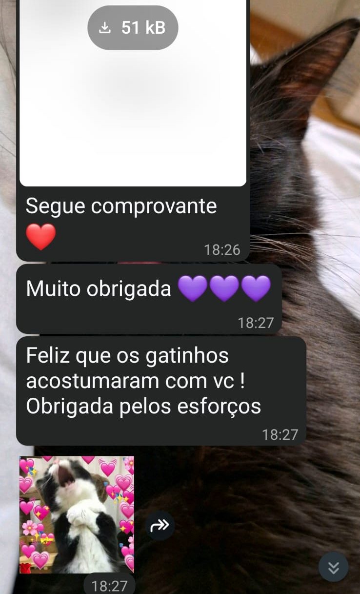 Print de conversa de WhatsApp da cliente Natália agradecendo o serviço de cat sitter para seus gatos
