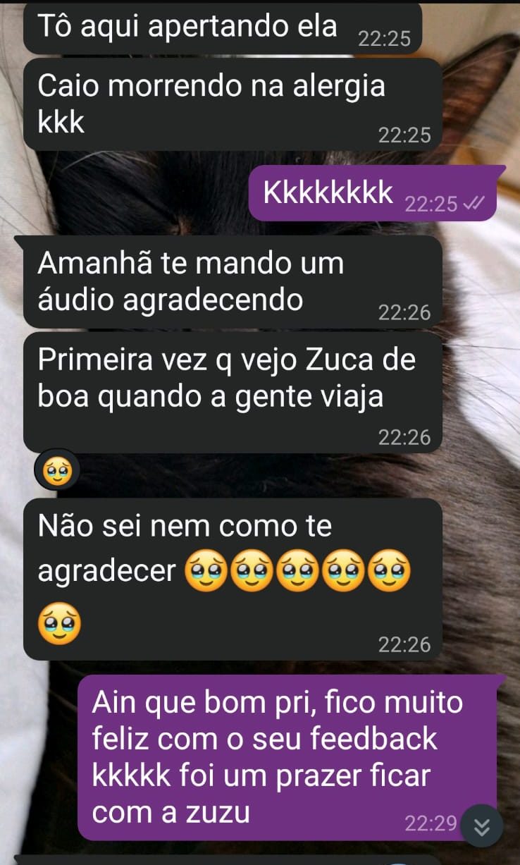 Print de conversa de WhatsApp da cliente Priscilla agradecendo o serviço de cat sitter para a gata Zuca durante viagem