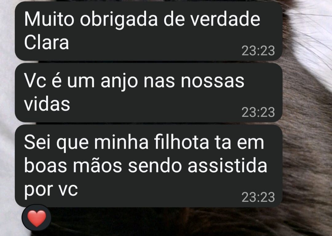 Print de conversa de WhatsApp com tutora agradecendo o atendimento veterinário domiciliar da Dra. Clara Gomez Scarpelli